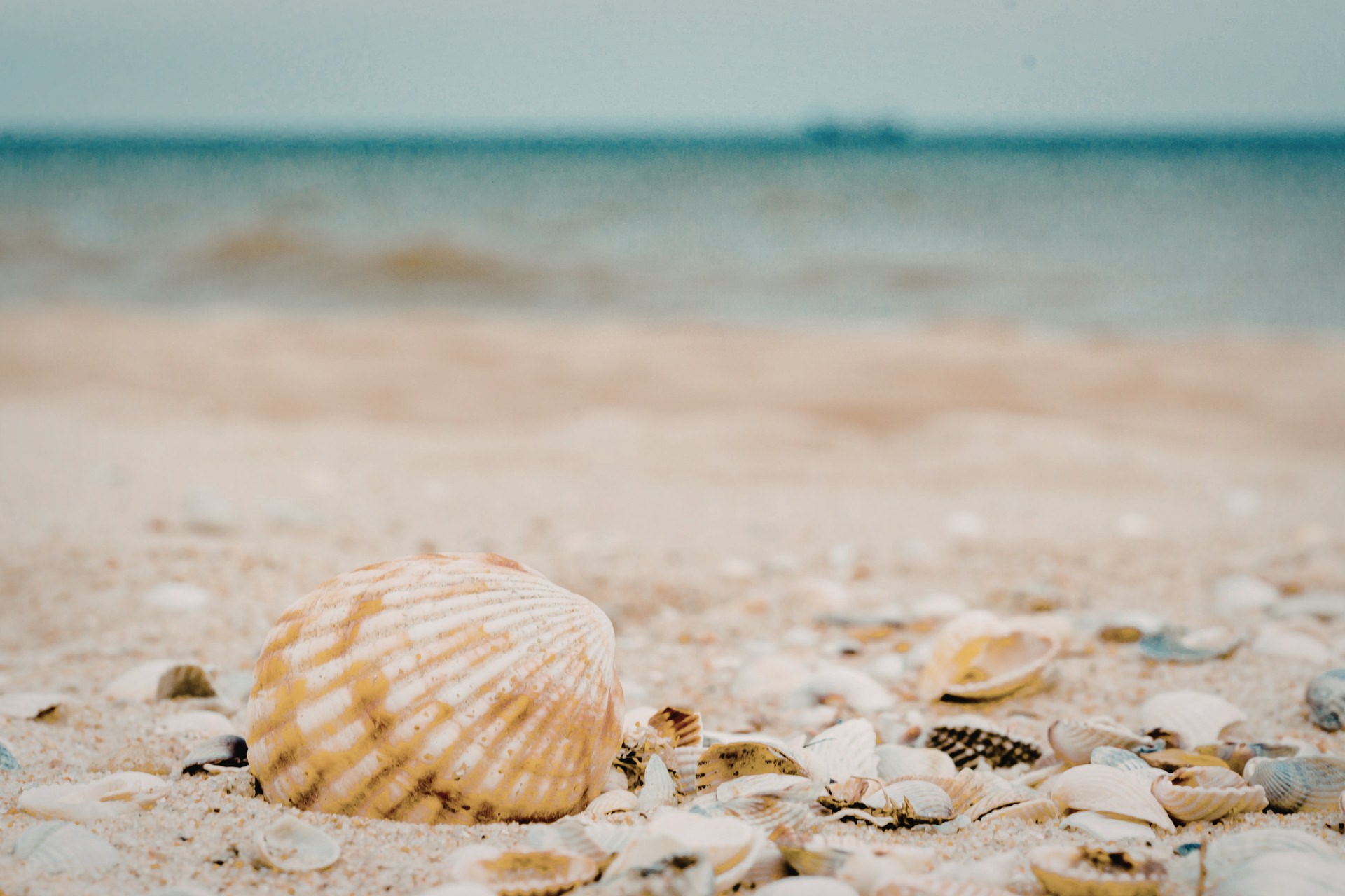 Coastal scene